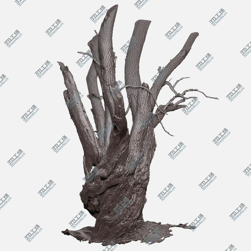 images/goods_img/202105073/Tree charred trunk willow/5.jpg